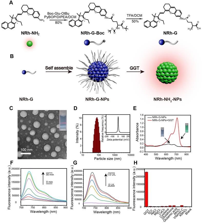 Theranostics Image