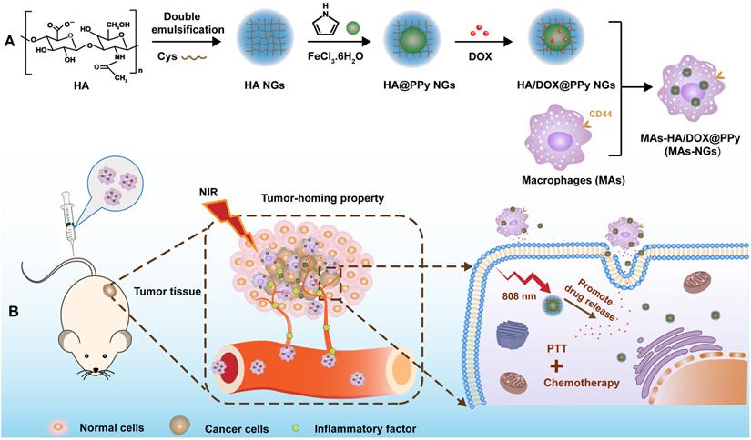 Theranostics Image