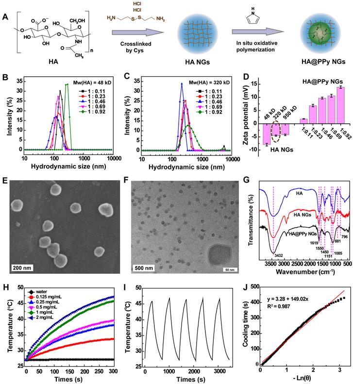 Theranostics Image