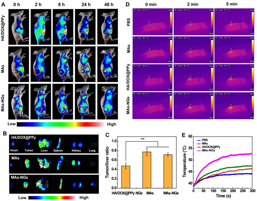 Theranostics Image