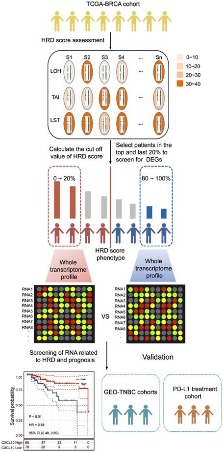 Theranostics Image