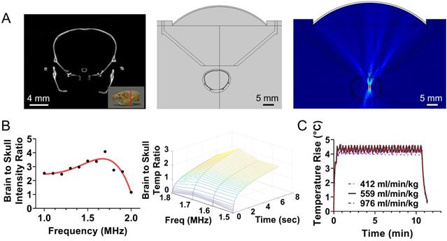 Theranostics Image