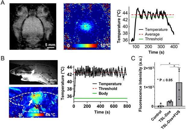 Theranostics Image