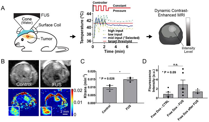 Theranostics Image