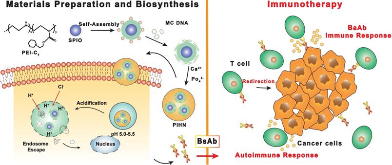 Theranostics Image