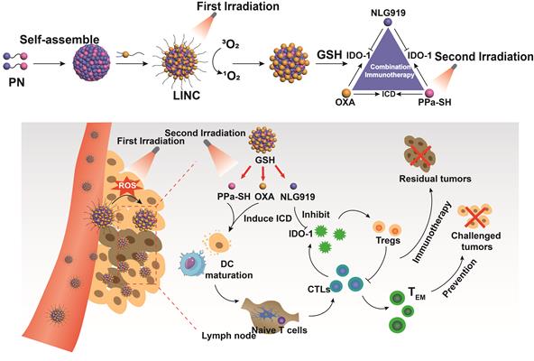 Theranostics Image