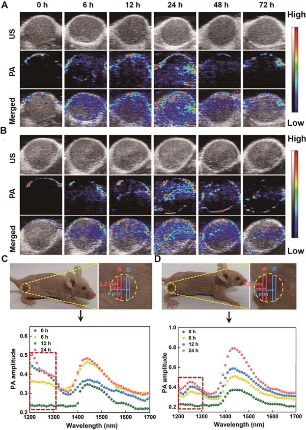 Theranostics Image