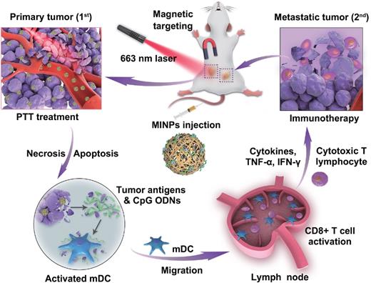 Theranostics Image