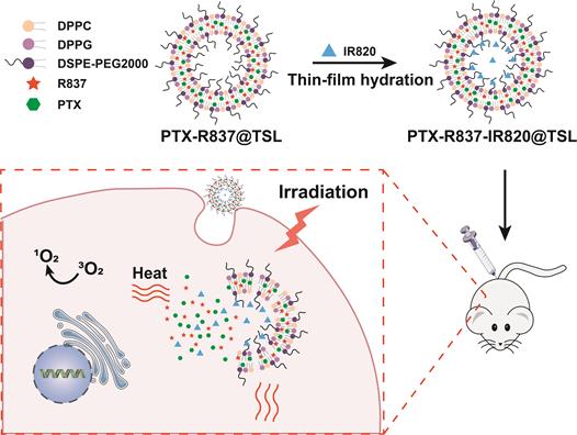 Theranostics Image