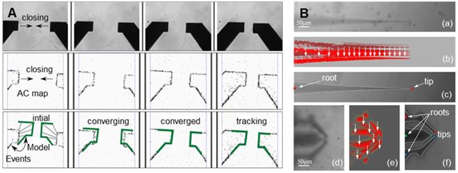 Theranostics Image