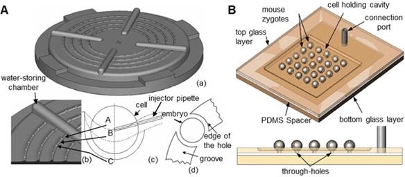 Theranostics Image