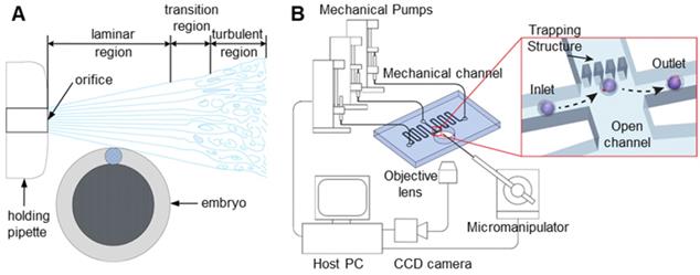 Theranostics Image