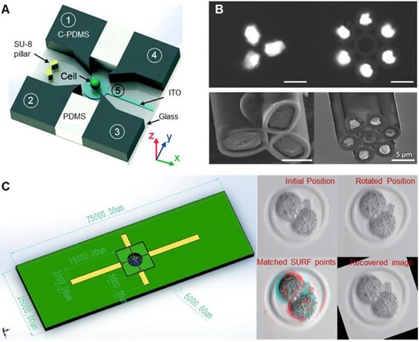 Theranostics Image