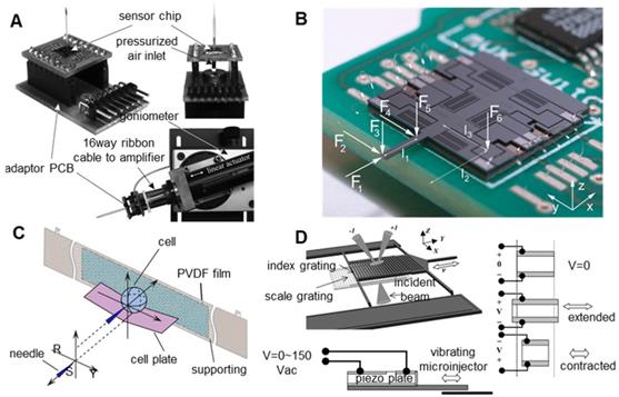 Theranostics Image