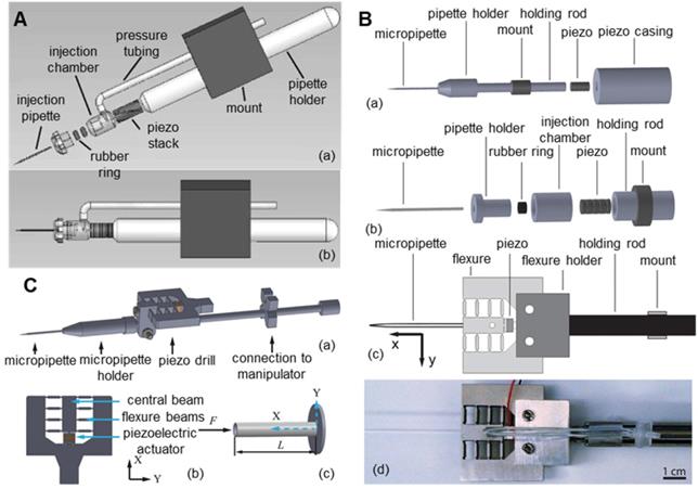 Theranostics Image