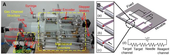 Theranostics Image