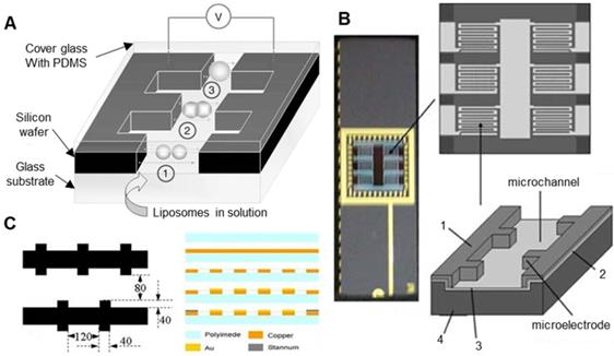 Theranostics Image