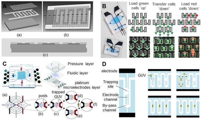 Theranostics Image