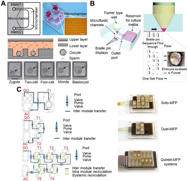 Theranostics Image