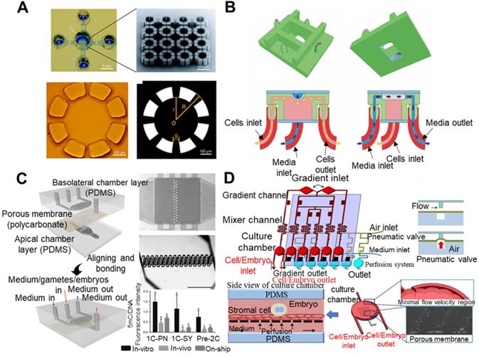 Theranostics Image