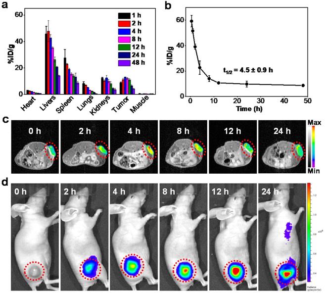 Theranostics Image