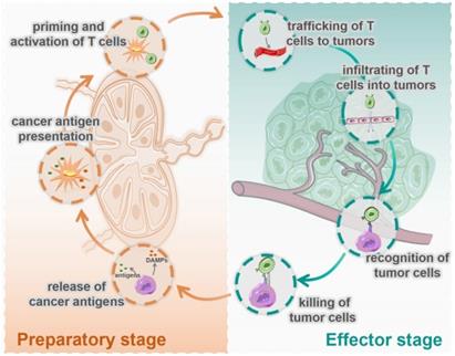 Theranostics Image