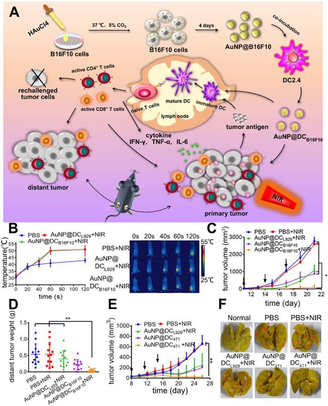 Theranostics Image