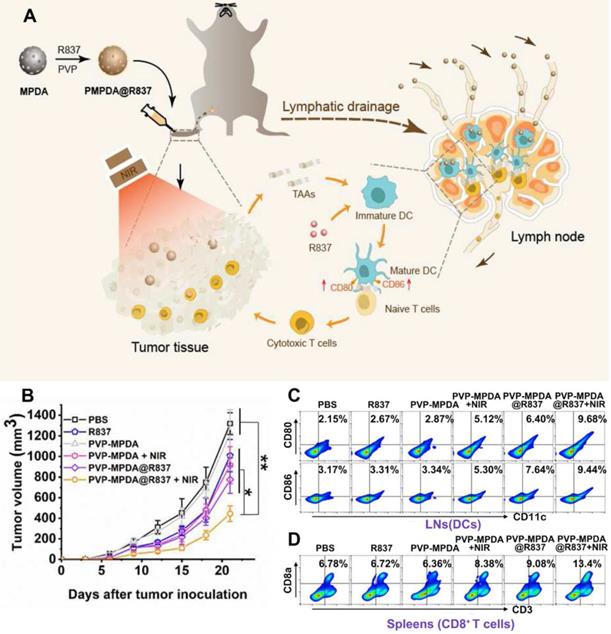 Theranostics Image