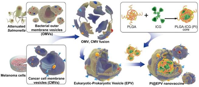 Theranostics Image