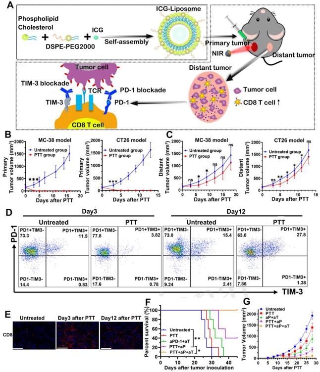 Theranostics Image