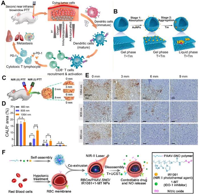 Theranostics Image