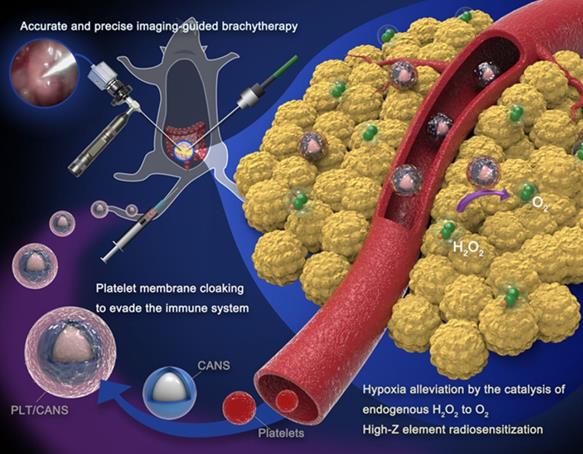 Theranostics Image