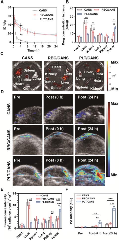 Theranostics Image