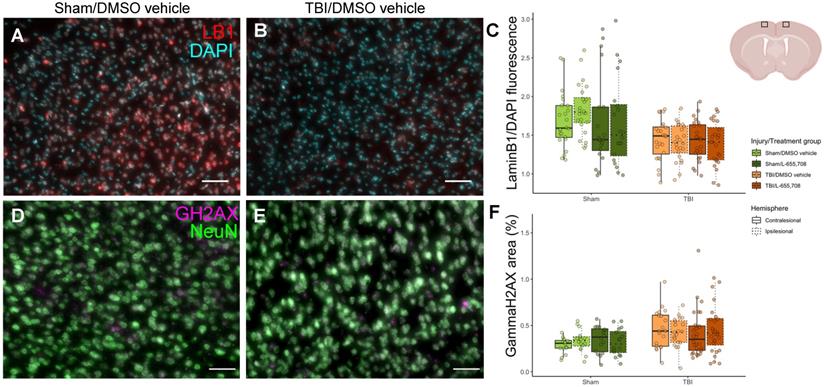 Theranostics Image