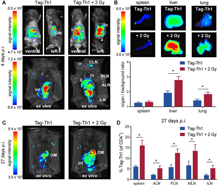 Theranostics Image