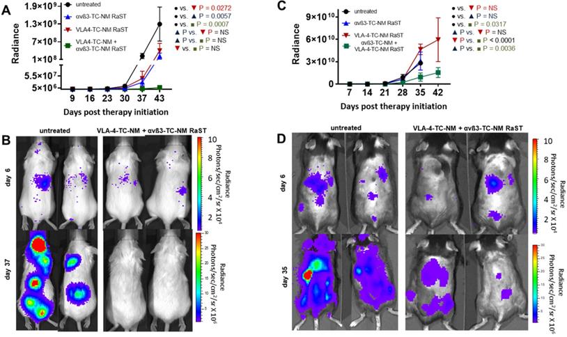 Theranostics Image