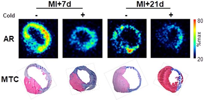 Theranostics Image