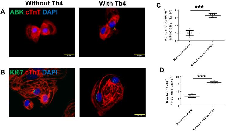 Theranostics Image