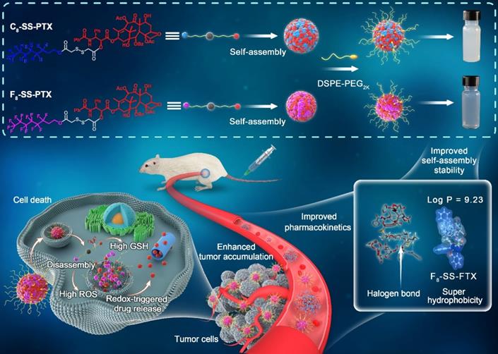 Theranostics Image