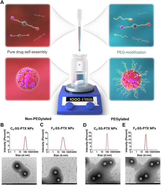 Theranostics Image