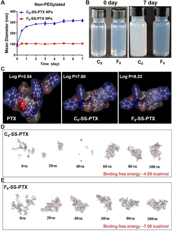 Theranostics Image