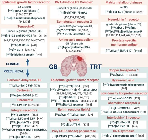 Theranostics Image