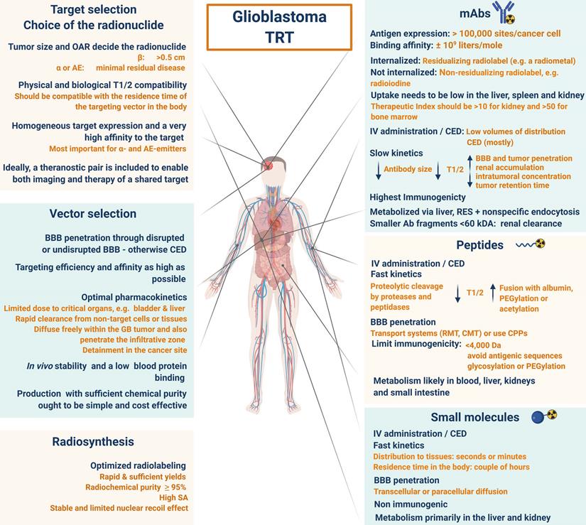 Theranostics Image