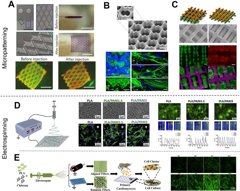 Theranostics Image