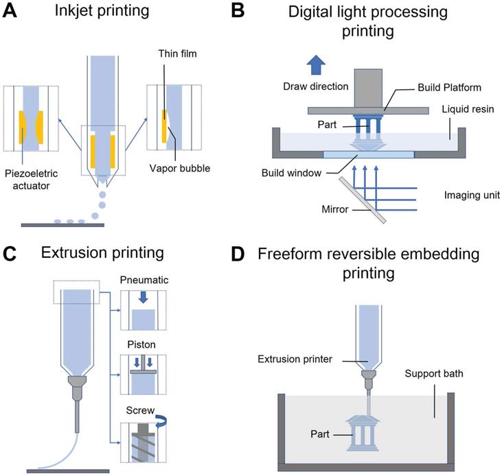 Theranostics Image