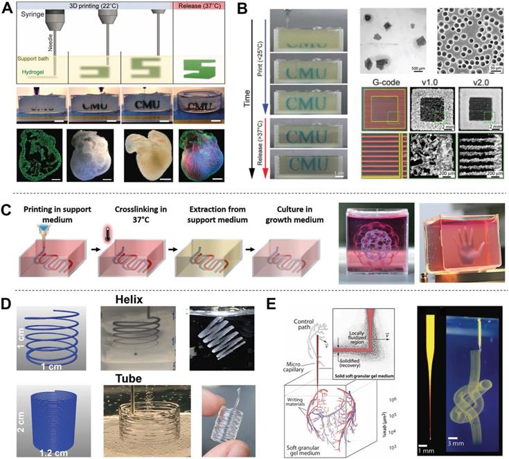 Theranostics Image