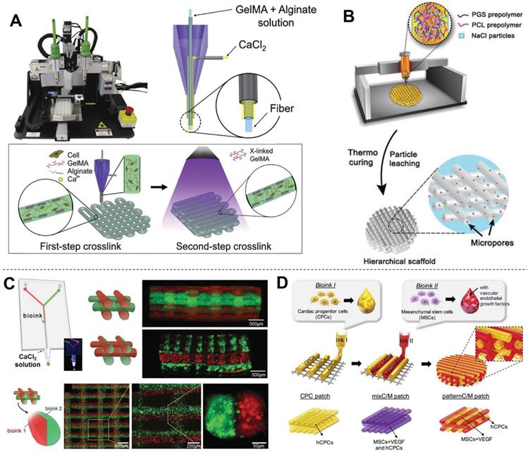 Theranostics Image