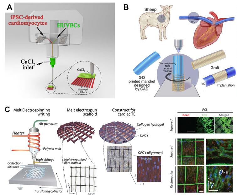 Theranostics Image