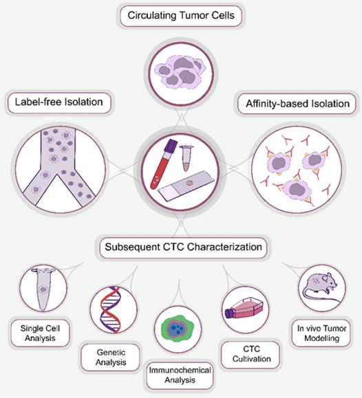 Theranostics Image