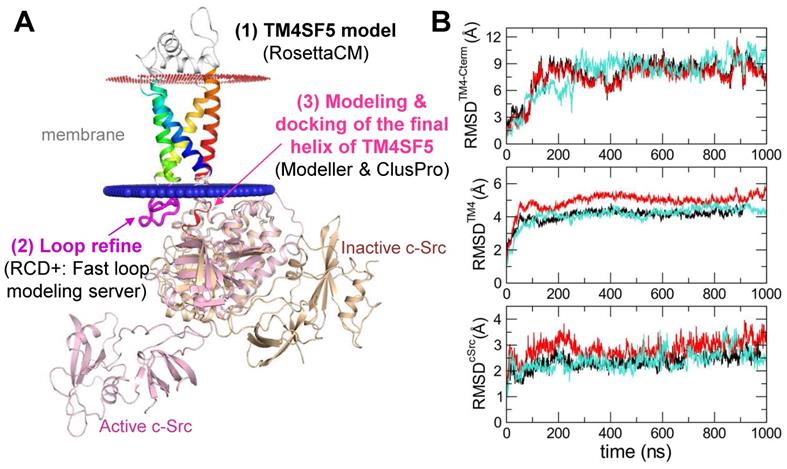 Theranostics Image